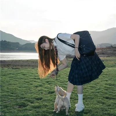 狐狸捕手